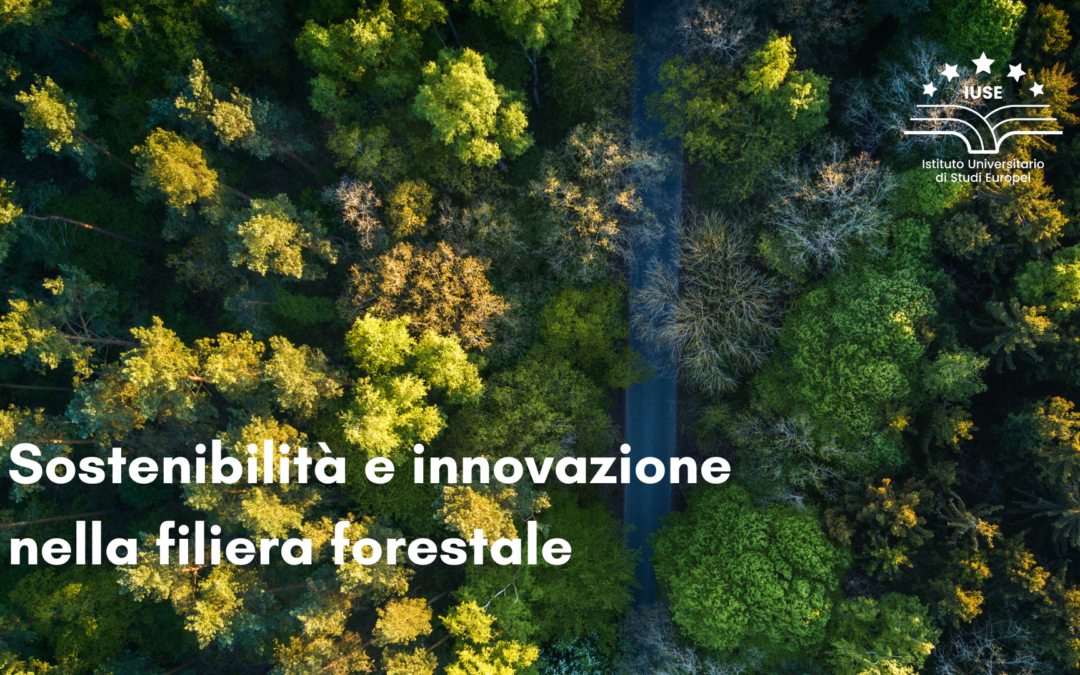 Il progetto LA.B. 23-24: sostenibilità e innovazione nella filiera forestale